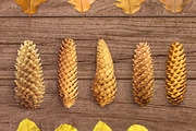 Autumn Floral Mockup, an Object Graphic by uncle-rico (Thumbnail 9 of 12)