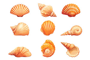 Set of cartoon sea shells of, an Animal Illustration by LadadikArt