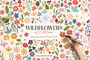 Whole Shop Bundle - 45700 Graphics, an Object Graphic by Julia Dreams (Thumbnail 24 of 52)