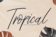 Tropical | Script Font
