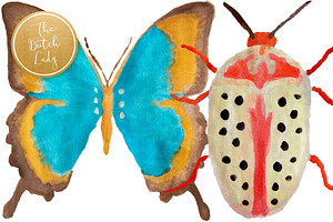 Handpainted Insect Clipart Set