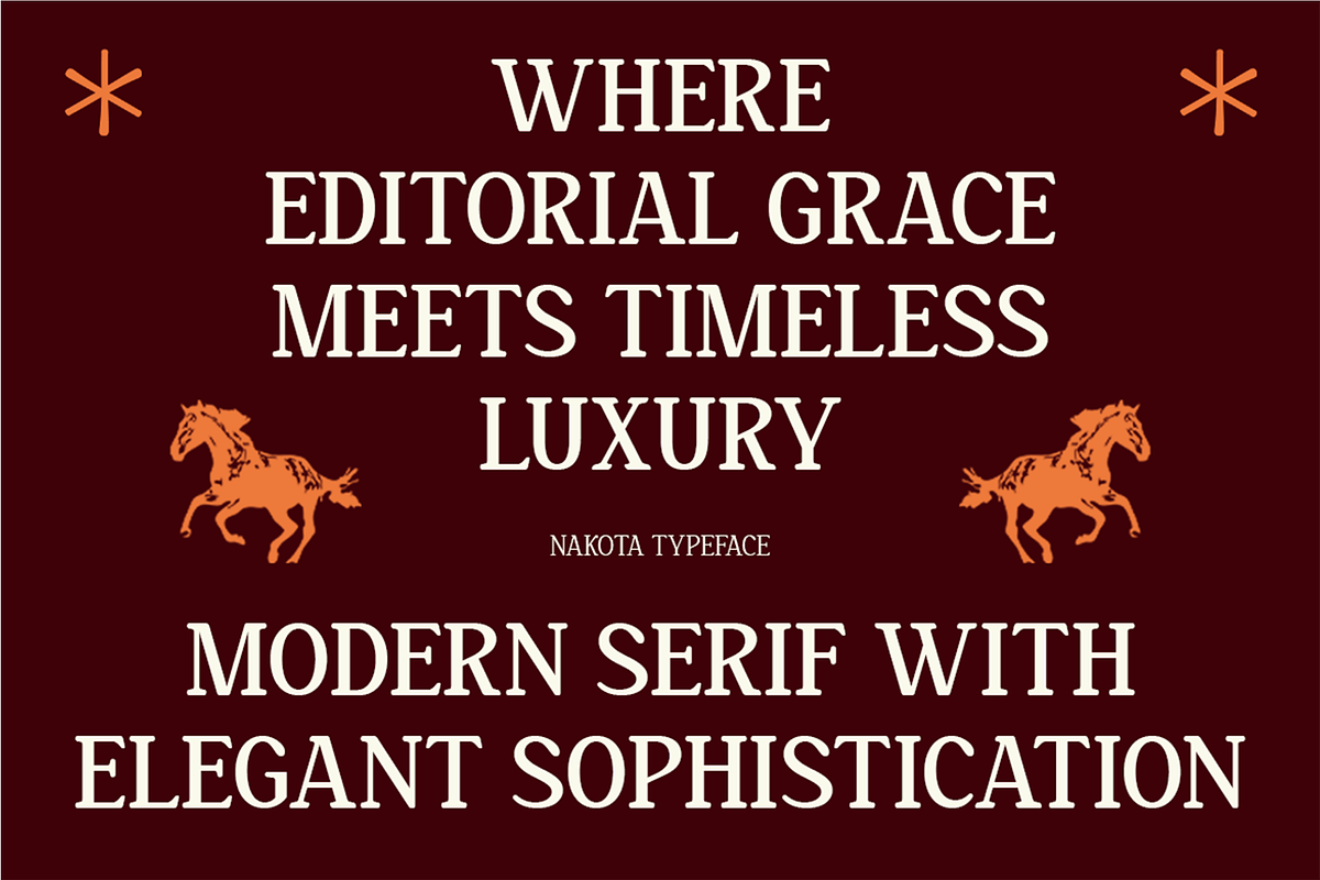 Nakota - Modern Clean Serif Font, a Serif Font by Pekotype (Photo 2 of 15)
