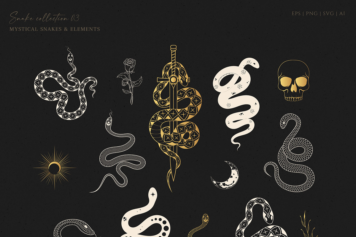 Hand Drawn Celestial Snakes & Sculls, an Animal Illustration by KirillsWorkshop (Photo 9 of 10)