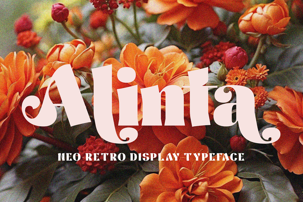 Alinta - Neo Retro Display Typeface, a Serif Font by Surplus Type Co (Photo 1 of 9)
