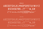 Factory Floor Font - Two Styles, a Sans Serif Font by McWhorter Creative Shop (Thumbnail 4 of 9)