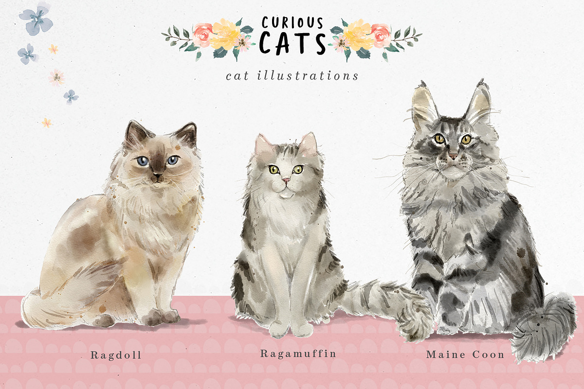 Curious Cats Feline Clipart, an Animal Illustration by Twigs and Twine (Photo 5 of 11)
