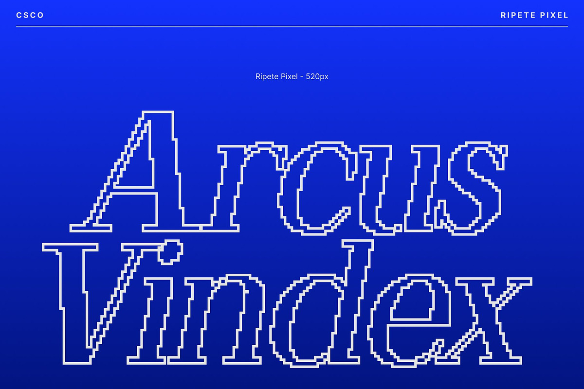 Ripete Pixel, a Serif Font by Craft Supply Co. (Photo 6 of 8)