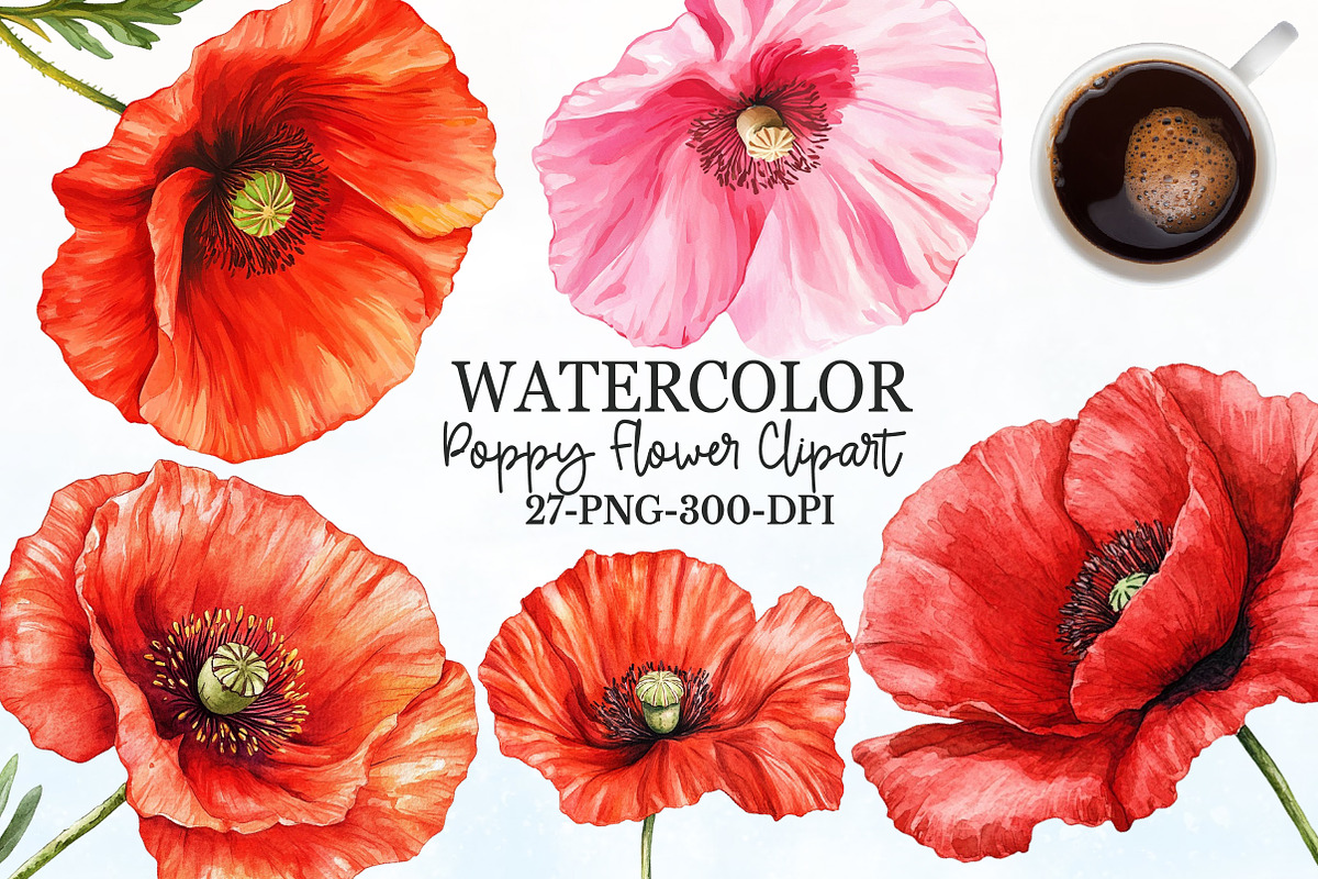Corn Poppy Flower Bloom Clipart, an Illustration by Rose Art (Photo 1 of 6)