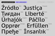 TT Fellows, a Sans Serif Font by TypeType (Thumbnail 7 of 15)
