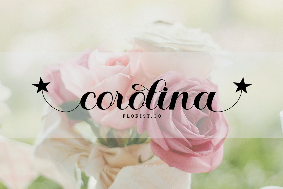 Hello Bella Script, a Script Font by Bosstype Studio (Photo 3 of 10)