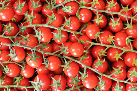 Cherry tomatoes, a Food & Drink Photo by KYNA STUDIO