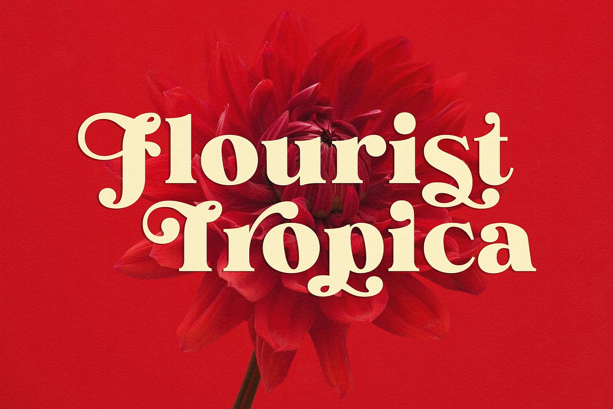 NS Yorkest Poster, a Serif Font by Novisouldado (Photo 14 of 14)