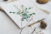 Winter Checklist Watercolor Clipart, a Seasonal Illustration by NataliArkushArt (Thumbnail 5 of 14)