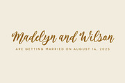 Fermont Script, a Script Font by etigletters (Thumbnail 4 of 7)