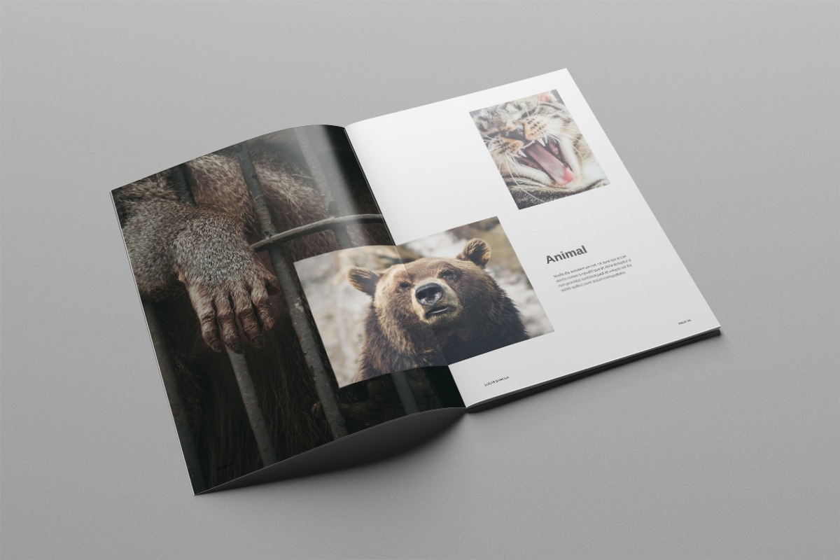Photography Portfolio, a Brochure Template by Meenom Templates (Photo 20 of 20)