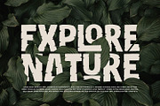 Reliction - Display Font, a Script Font by Alpaprana (Thumbnail 5 of 10)
