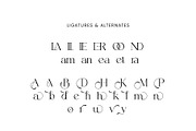 Brolyn Modern Serif Font, a Serif Font by Slide Shoot (Thumbnail 9 of 11)