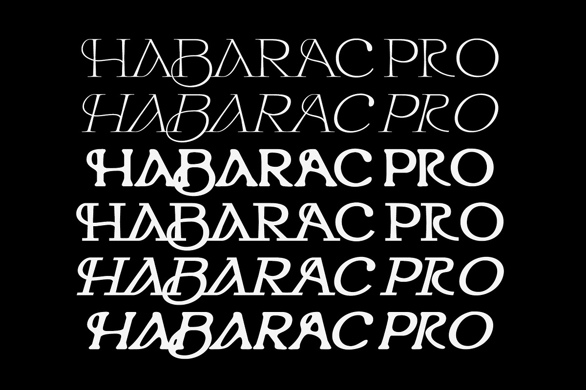 Habarac | Modern Elegant Serif Font, a Serif Font by Typoraith Co (Photo 2 of 15)