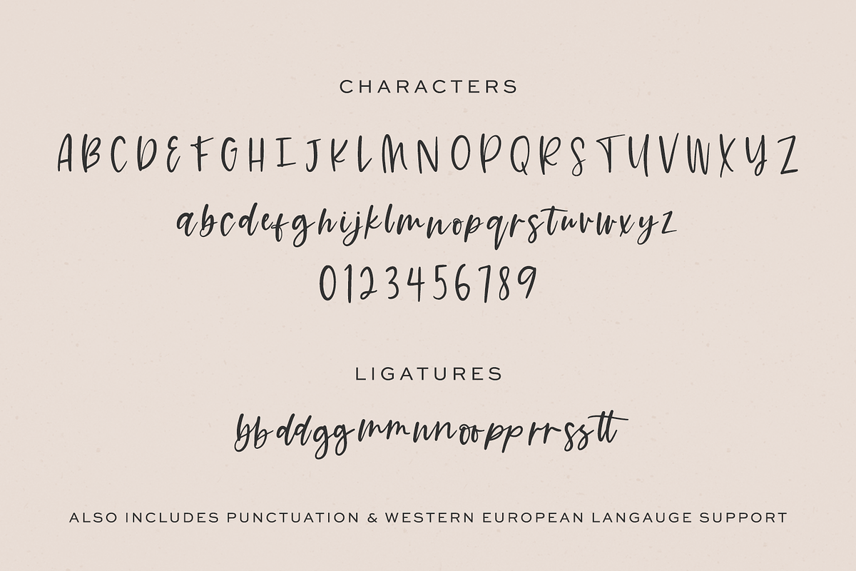 Summer Paradise Script, a Script Font by Beck McCormick (Photo 10 of 10)