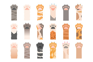 Pets Paw. Wild Cats Different Paws