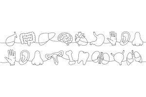 Set of organs one line continuous, a Healthcare Illustration by GraphiShop