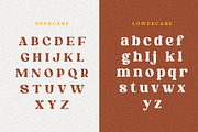 Melista | A Cute Display Retro Serif, a Sans Serif Font by Andrimada Creative (Thumbnail 9 of 13)