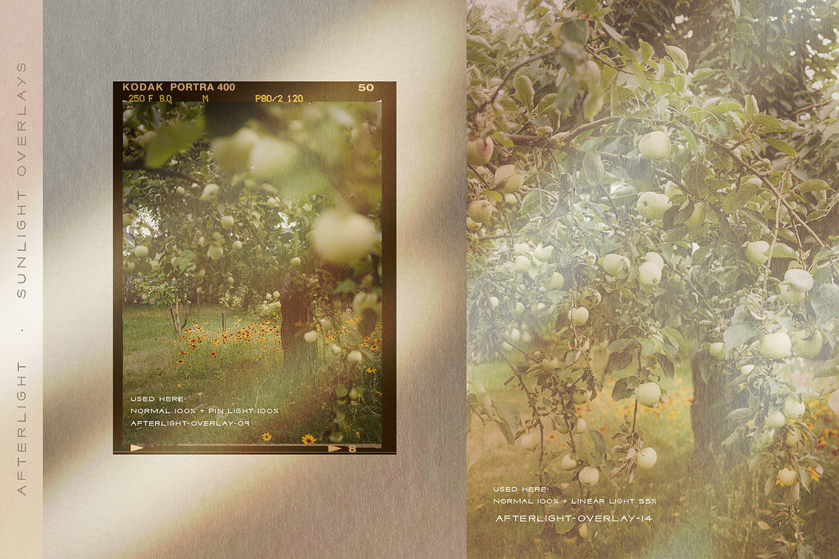 Afterlight - Light Overlays, a Texture Graphic by alonahaidash (Photo 5 of 18)