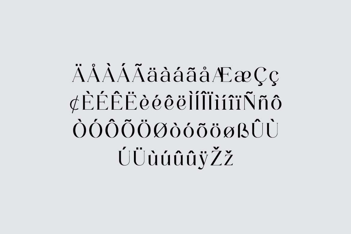 Banfishery Classic Serif Font, a Serif Font by UICreative (Photo 10 of 14)