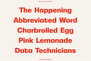 BN Hillside Grotesk, a Sans Serif Font by Bnick (Thumbnail 11 of 14)
