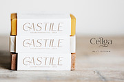 Cellga Typeface, a Sans Serif Font by alit design (Thumbnail 3 of 17)