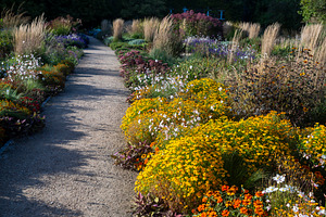 Gravel path winding through a botanical garden lined with colorf, a Nature Photo by Imaginarium
