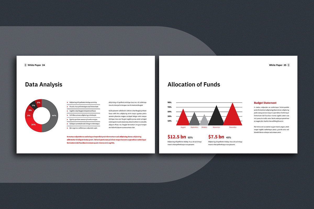 White Paper Template, a Brochure Template by ArtisticLand (Photo 9 of 11)