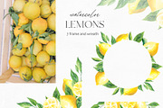 Watercolor Lemons Clipart, an Illustration by YuliyaArtGarden (Thumbnail 3 of 6)