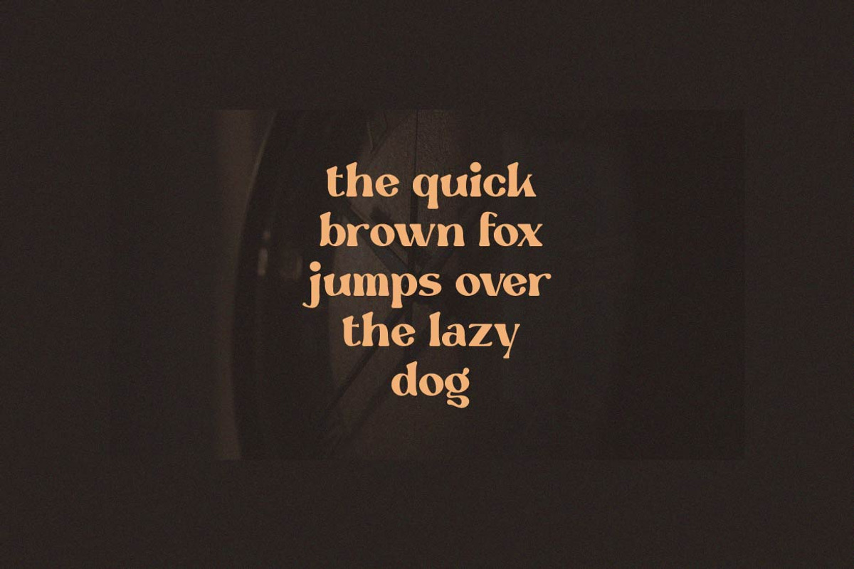 Grily – Retro Serif Display Font, a Serif Font by Artiveko (Photo 8 of 8)