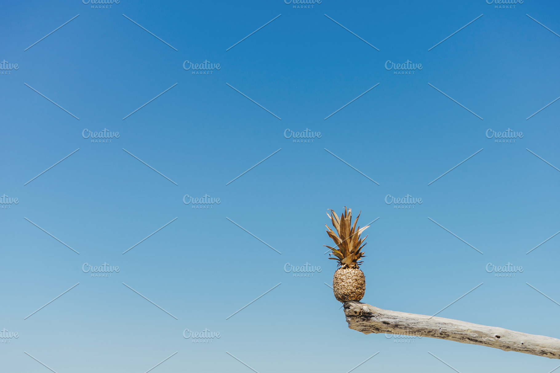 Golden Pineapple Balancing on Wood, a Photo by Pineapple Shop