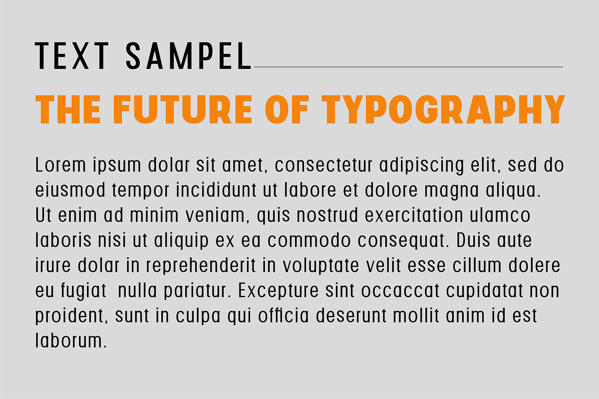 Corva, a Sans Serif Font by Reza Studio (Photo 6 of 8)