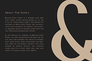 Belgium Font Family, a Sans Serif Font by Craft Supply Co. (Thumbnail 2 of 8)