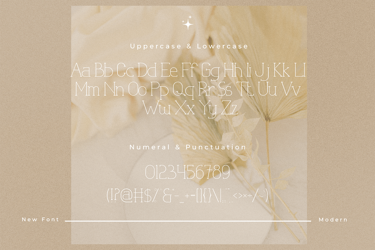 Latisha - Modern Classy Serif Font, a Serif Font by overlaytemplates (Photo 4 of 5)