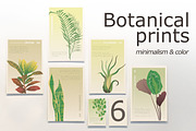 6 House Plants | Botanical Bundle, a Decorative Illustration by Lines And Crafts (Thumbnail 1 of 7)
