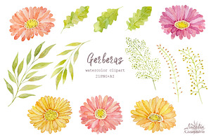 Watercolor Set Of Gerbera Flowers