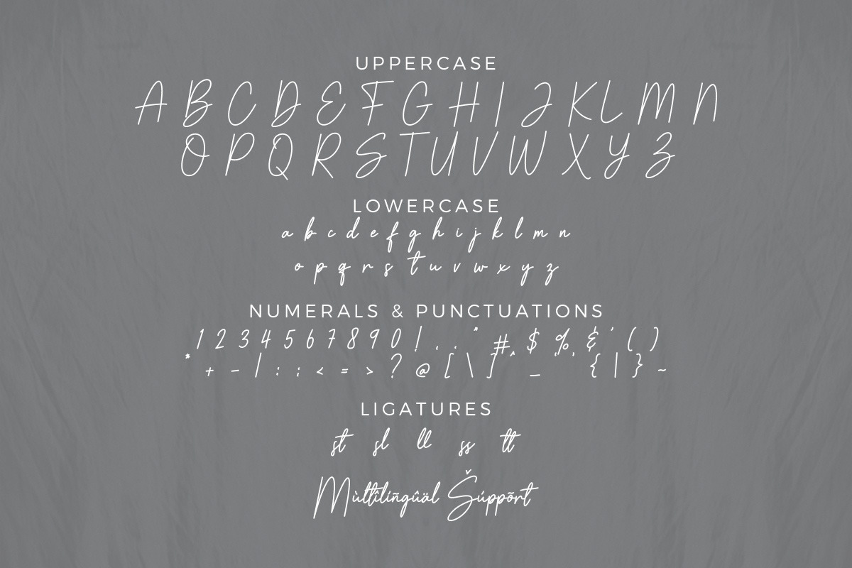 Bristany Signature Font, a Script Font by Multype Studio (Photo 5 of 7)