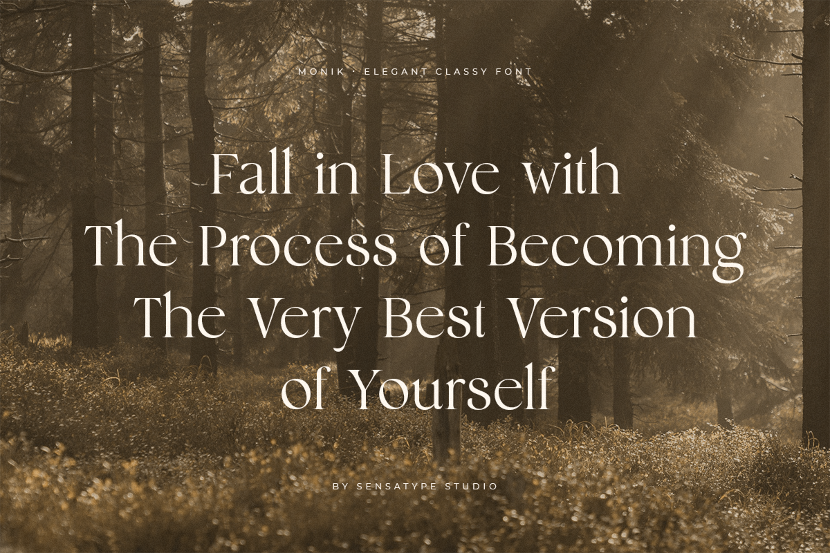 Monik - Elegant Classy Font, a Serif Font by Sensatype (Photo 8 of 15)