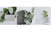Eucalyptus Bundle, a Product Mockup by Peppermint &Tea (Thumbnail 4 of 8)