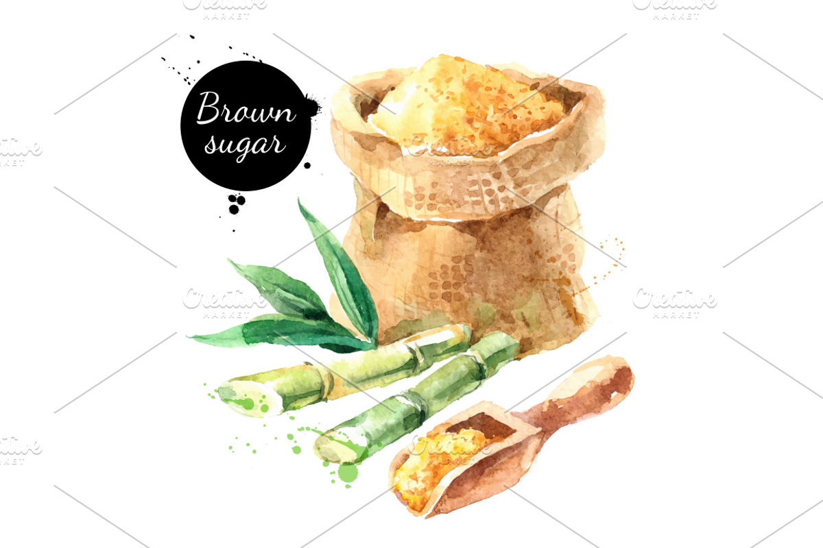 Watercolor Ingredients Vector Set, a Food Illustration by Elena Pimonova (Photo 2 of 4)