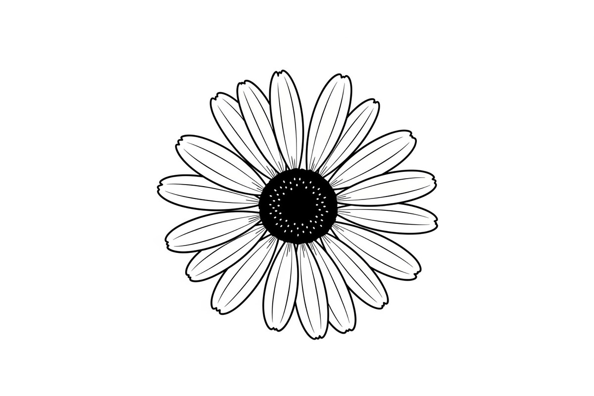 Daisy Flower Line Art Vector Bundle0, an Illustration by jahid234 (Photo 42 of 51)
