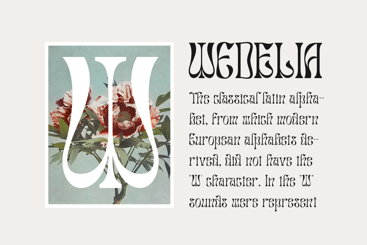 Salty Mussy - Quirky Twisted Display, a Sans Serif Font by Dharmas Foundry (Photo 4 of 15)