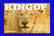 Ridge Cliff - Slab Serif Font, a Slab Serif Font by Letterhend Studio (Thumbnail 3 of 10)