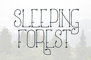 Sleeping Forest