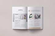 Project Proposal | InDesign, Docx, a Brochure Template by Theme Weavers (Thumbnail 3 of 7)