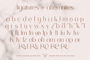 Celine - Chic Ligature Sans & Extras, a Sans Serif Font by SilverStag Type Foundry (Thumbnail 22 of 23)